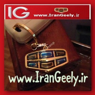 جاسوئیچی جدید طلایی با لوگوی آبی-مشکی 3D جیلی امگرند