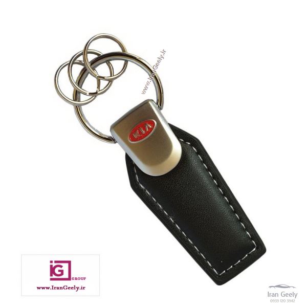 جاسوئیچی سوپرلوکس چرمی فلزی کیا