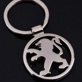 جا کلیدی استیل پژو