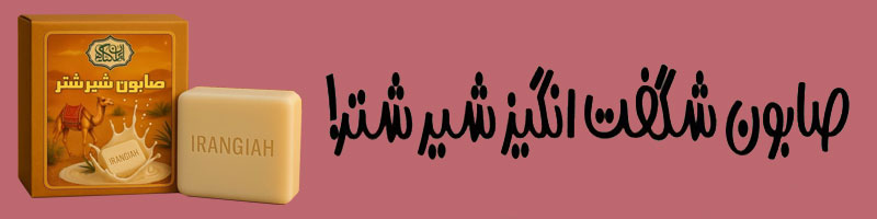 با خواص شگفت انگیز صابون شیر شتر آشنا شوید
