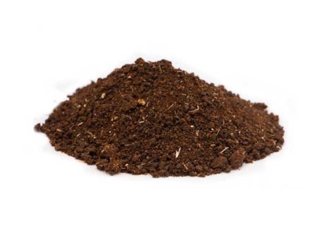 پودر سیر سیاه 50گرم