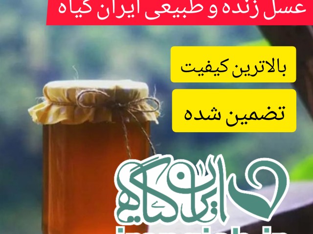 عسل زنده و طبیعی کوهستان