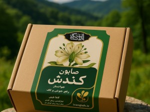 پکیج  اعجاز کندش