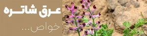 عرق شاتره برای چی خوبه؟