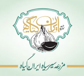 مزرعه سیر سیاه ایران گیاه