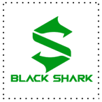 بلک شارک