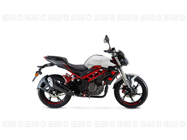 موتور سیکلت بنلی مدل TNT 25N