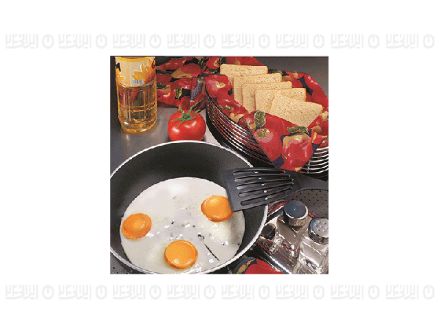 سرویس آشپزخانه 22 تکه رزین تاژ طرح سیب چاپی