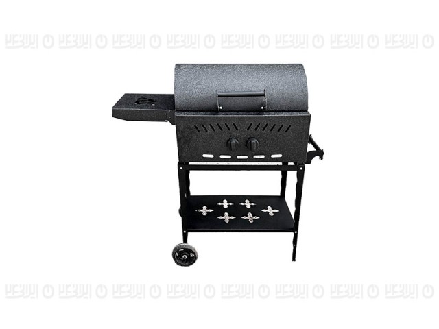 باربیکیو گازی زغالی گازاکس مدل 6040