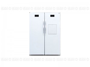 یخچال و فریزر دوقلو  لایف مدل سلین