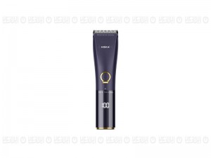 ماشین اصلاح موی سر و صورت شارژی هیسکا مدل H5530