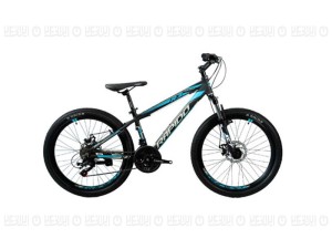 دوچرخه 24 راپیدو مدل RAPIDO R3 D