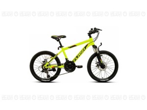 دوچرخه FLASH20 مدل SKY 7