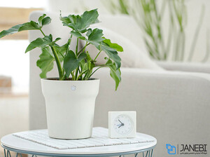 گلدان هوشمند شیائومی Xiaomi Smart Flowerpot