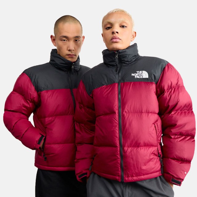 کاپشن مردانه نورس فیس | The North Face