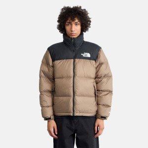 کاپشن مردانه نورس فیس | The North Face