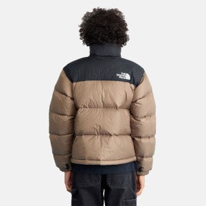 کاپشن مردانه نورس فیس | The North Face