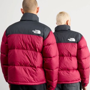کاپشن مردانه نورس فیس | The North Face