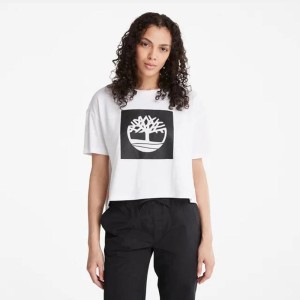 تیشرت زنانه تیمبرلند | Timberland