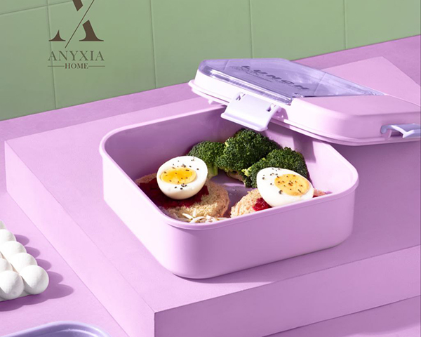 لانچ باکس مربع لیدیا آنکسیا پلاستیک 101