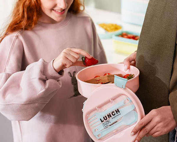 لانچ باکس گرد دلوین آنکسیا پلاستیک 105