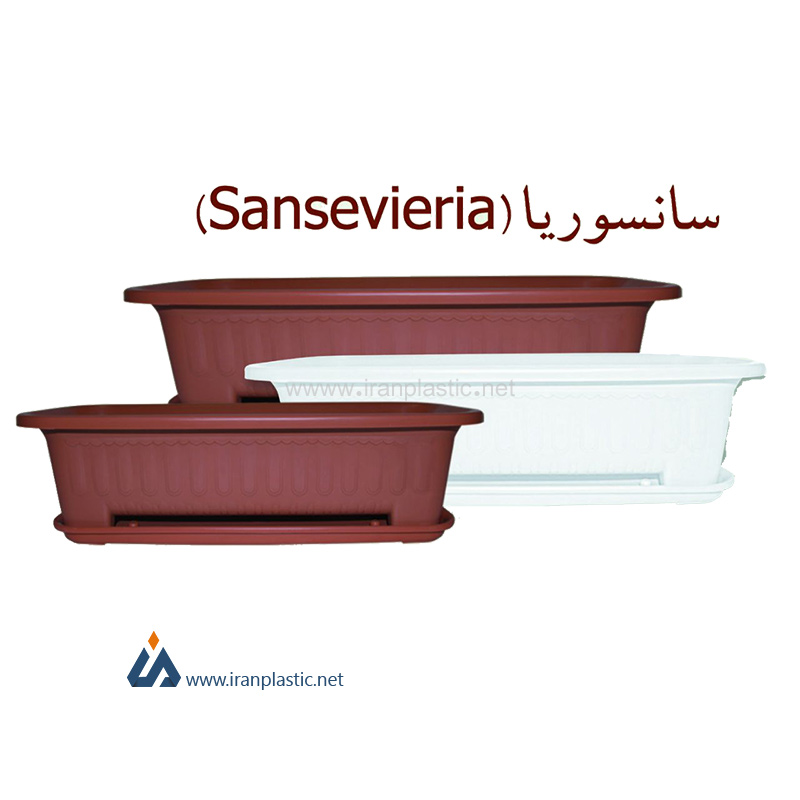 فروش گلدان پلاستیکی سانسوریا کارخانه گلسرخ