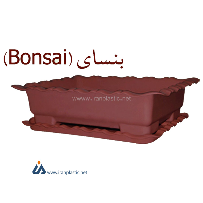 گلدان بنسای گل‌سرخ پلاستیک