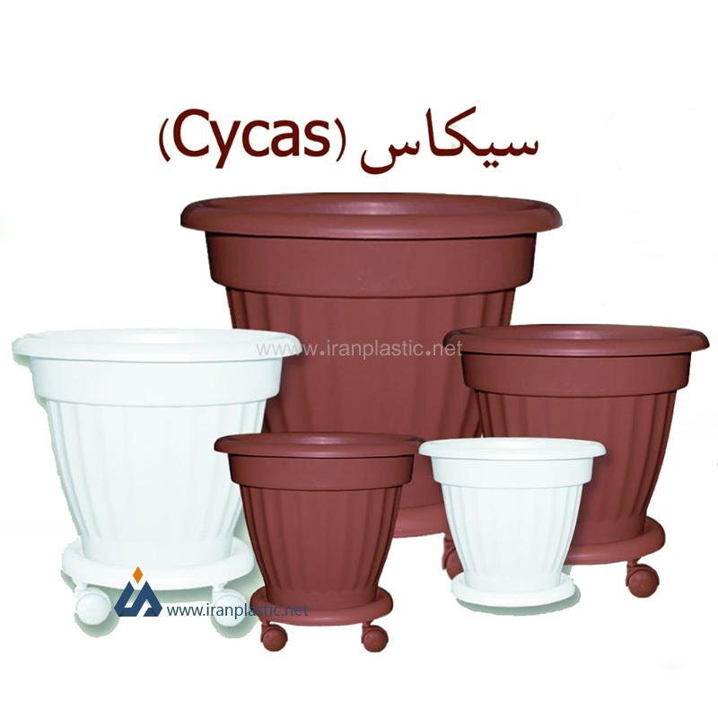 گلدان‌های گرد سیکاس گلسرخ پلاستیک