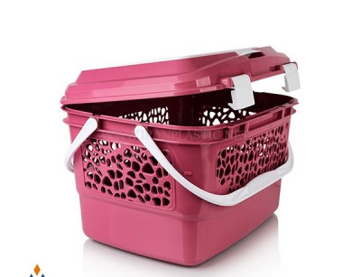 سبد پيك نيك گل سنگ زیباسازان