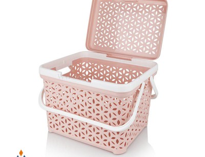 سبد پیک نیک مارس کوچک ایده آل پلاستیک