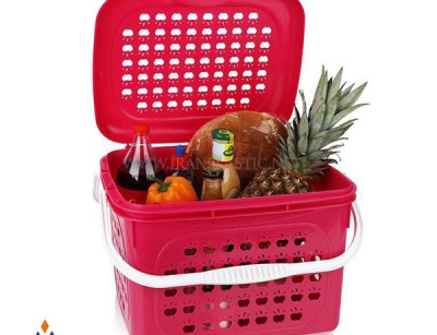 سبد پیک نیک بزرگ سیب