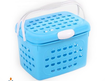 سبد پیک نیک کوچک سیب