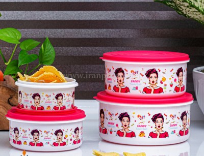 ظرف فریزری هوم لیدی رزمن پلاستیک