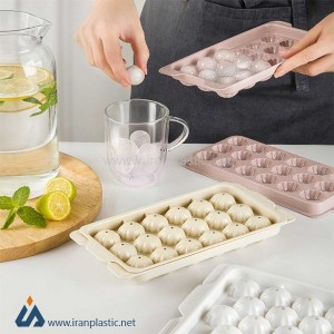 قالب یخ پاییز اکسن پلاستیک 1220.jpg