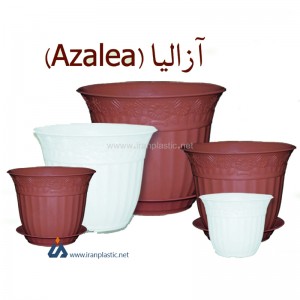 فروش عمده گلدان پلاستیکی آزالیا گلسرخ پلاستیک