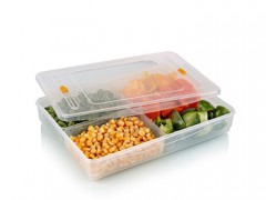 جاگوشتی روبیتا زیباسازان پلاستیک