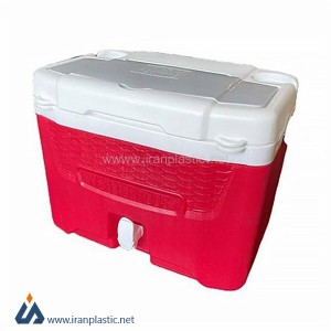 یخدان پلاستیکی 15 لیتری کیش ترموس.jpg