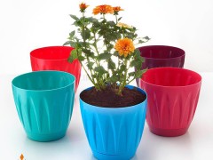 گلدان هلندی ایده آل پلاستیک