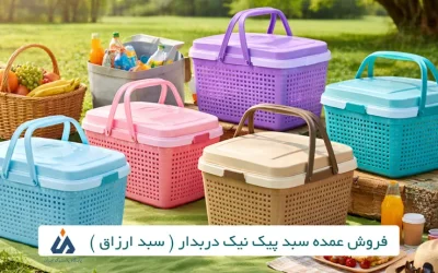 فروش عمده سبد پیک‌نیک و سبد خرید پلاستیکی دربدار ارزان و باکیفیت
