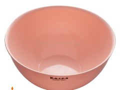 کاسه لبه دار ریحان کارن پلاستیک