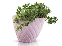 گلدان آناناسی دیواری پلی نیک پلاستیک