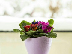 گلدان لاله سنگی پلی نیک پلاستیک