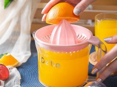 آب پرتقال گیری والنسیا زیباسازان پلاستیک.jpg