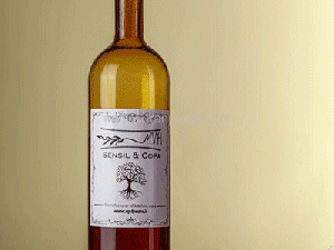 بطری آب شیشه ای کوپا