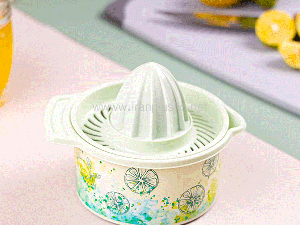 آب میوه گیری طرح دار رزگلد پلاستیک 4450