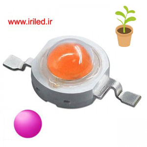 پاور ال ای دی فول اسپکتروم رشد گياه 45 میل  Epiled    1W-3W  با رنگ نور صورتی