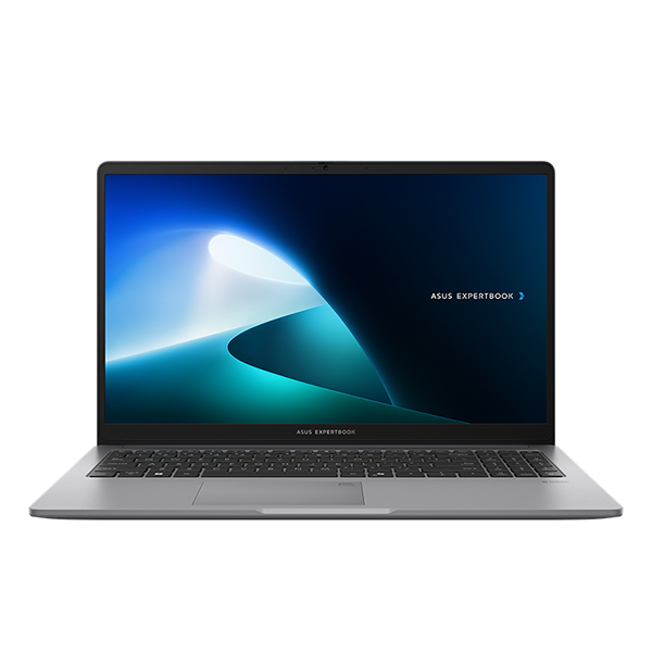 لپ تاپ ایسوس ExpertBook P1503CVA i5 13420H 8GB 512GB