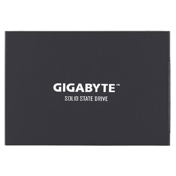 حافظه SSD اینترنال 256 گیگابایت GP-GSTFS31256GTND