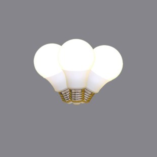 لامپ LED مرغداری 10W