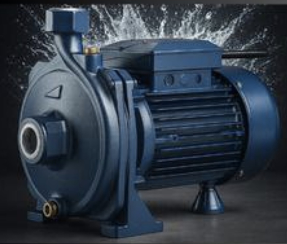 پمپ آب ۱ اسب بشقابی کارو پروانه استیل مدل IM100_SS